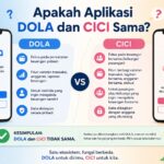 Aplikasi Dola Dan Cici